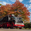 Dag van Historisch Transpor... - Dag van Historisch Transport in Druten powered by #truckpicsfamily, www.truck-pics.eu