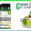 Healthy Life Garcinia – Nat... - Healthy Life Garcinia