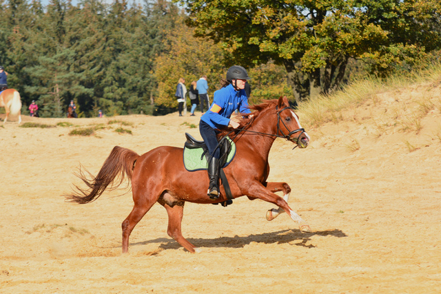 4 (2) foto's van website portfolio niet wegdoen