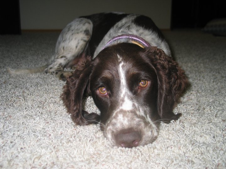 253661 204239456288215 1666392 n - 