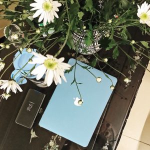 Case-Xanh-Pastel-4-300x300 ban phu kien macbook