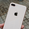 iPhone 8 Plus - Picture Box