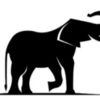 Copy of elephant-logo-300x187 - A Plus Insurance