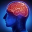 http-www-supplementdad-com-... - Reviva Brain :It Can Help You Improve Your Brain's Memory!