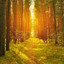 The Path through the Forest... - SunWisher Psychics
