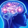 Reviva Brain :It Can Help You Improve Your Brain's Memory!