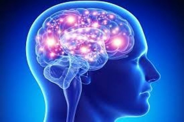 1 UgeqL9sIiDzPZqIap9xahg Reviva Brain :It Can Help You Improve Your Brain's Memory!