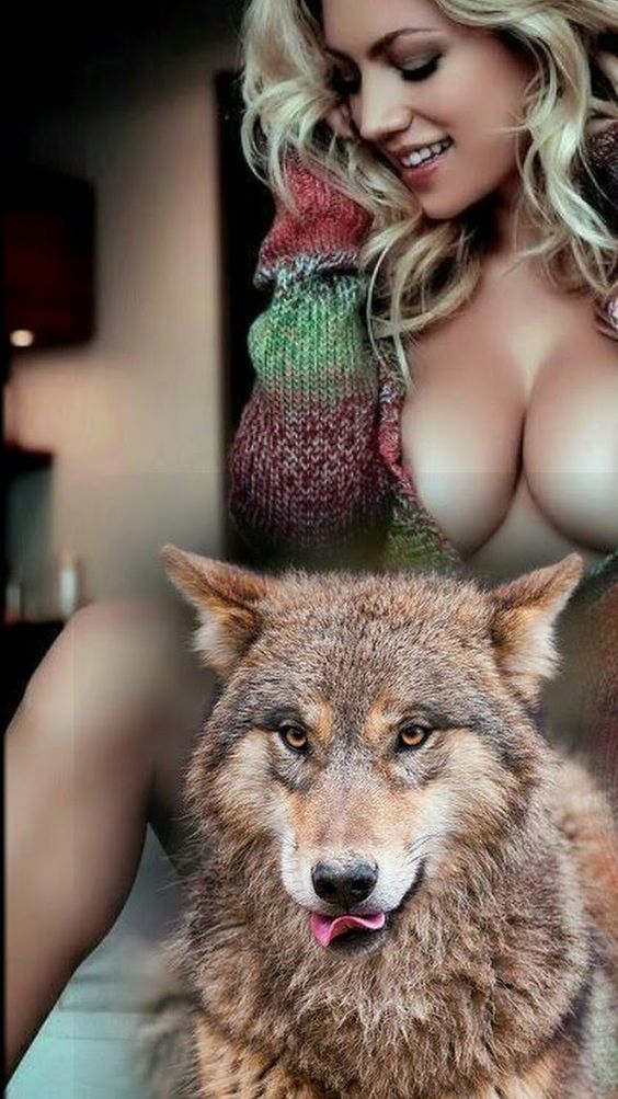 a70861b93c224c8a185d3ef92e04b80c https://apkwolf.us/keepvid-apk/