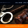 Bail Bonds Pensacola | Call... - Bail Bonds Pensacola | Call...
