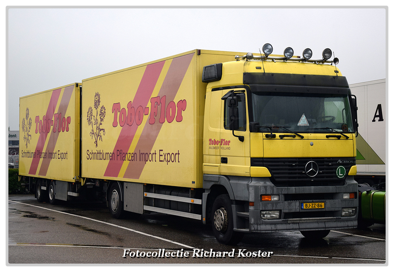 Tobo-Flor BJ-ZZ-86 (3)-BorderMaker - Richard