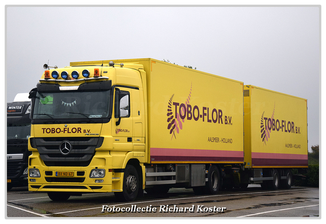 Tobo-Flor BX-ND-67 (1)-BorderMaker Richard