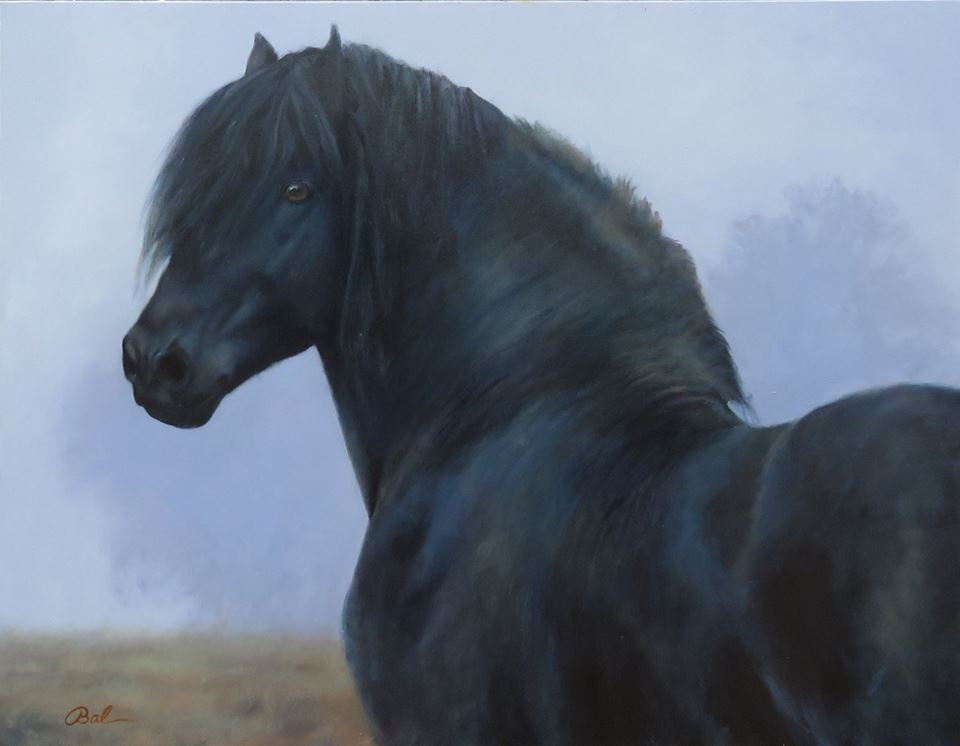 47136666 10214087144076557 2696160432959258624 n - 