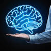 http://www.health4supplement.com/where-to-buy-brain-plus/