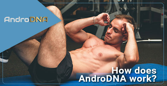 how-androdna-works AndroDNA : Recover Your Muscles And Get solid Body