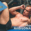 how-androdna-works - AndroDNA : Recover Your Muscles And Get solid Body