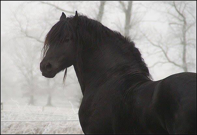 20525512 287204711755786 8298383668540971128 n[1] - 