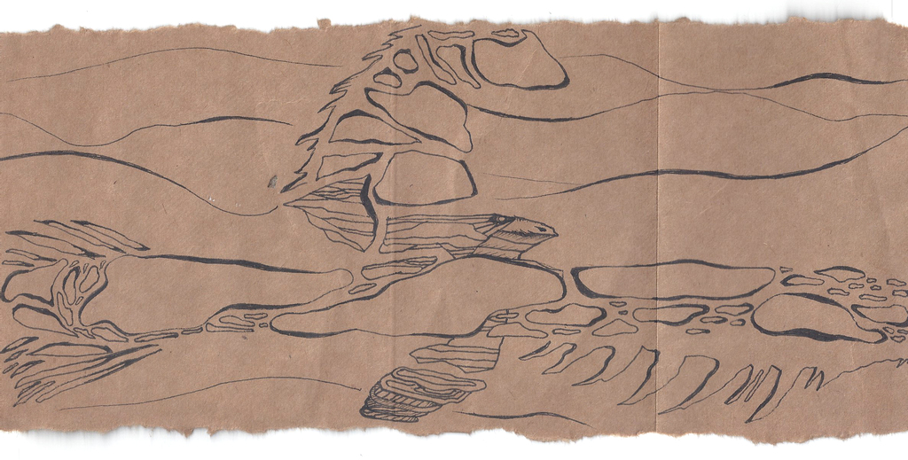 eagle random junks