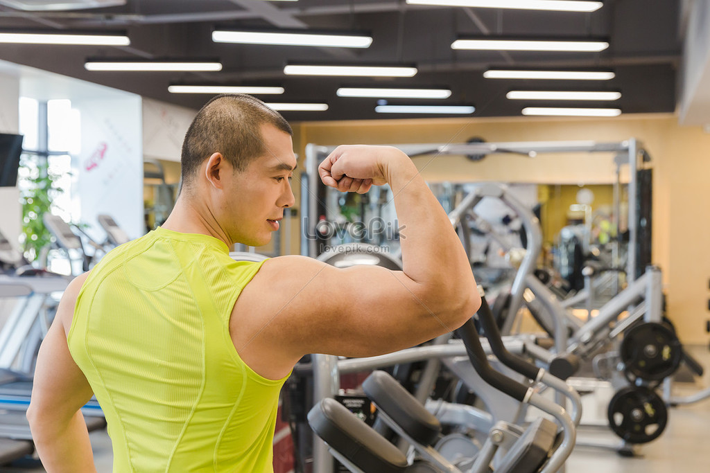 .https://www.supplementcyclopedia Picture Box