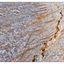 Frosty Estuary 2018 2 - Close-Up Photography