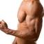 muscle - Enhances sexual drives and libido