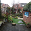 Achtertuin 14-01-19 1 - Garden 2019 & 2020