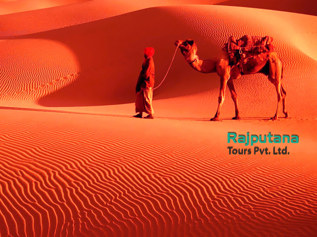 Rajasthan Desert Tour Picture Box