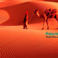 Rajasthan Desert Tour - Picture Box