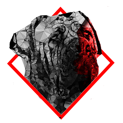4 - Anonymous