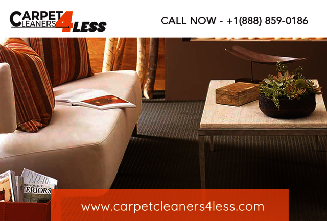 Carpet Cleaner New York | Call Now (888) 859-0186 Carpet Cleaner New York | Call Now (888) 859-0186