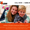 Carpet Cleaner New York | C... - Carpet Cleaner New York | C...