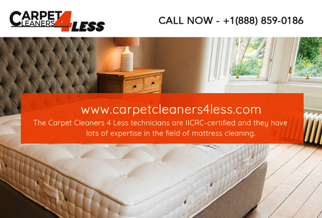 Carpet Cleaner New York | Call Now (888) 859-0186 Carpet Cleaner New York | Call Now (888) 859-0186