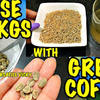 Green Coffee Grano