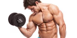 images Increases the muscle growth hormone in the body