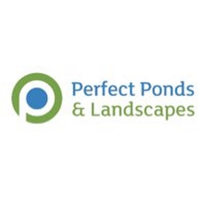 Pond Construction Company 1400 - Anonymous