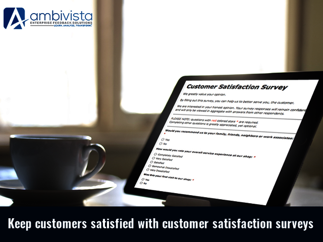 customer satisfaction survey Ambivista