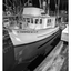 Comox Docks 2019 7 BW - Black & White and Sepia