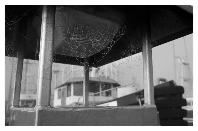 Web Docks B&W 2019 4 Black & White and Sepia