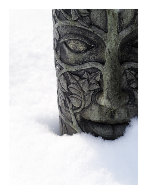 Snow Face 2019 Comox Valley