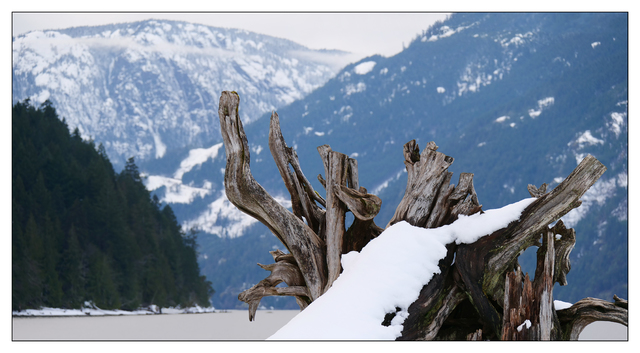 Comox Lake Winter 2019 3 Nature Images