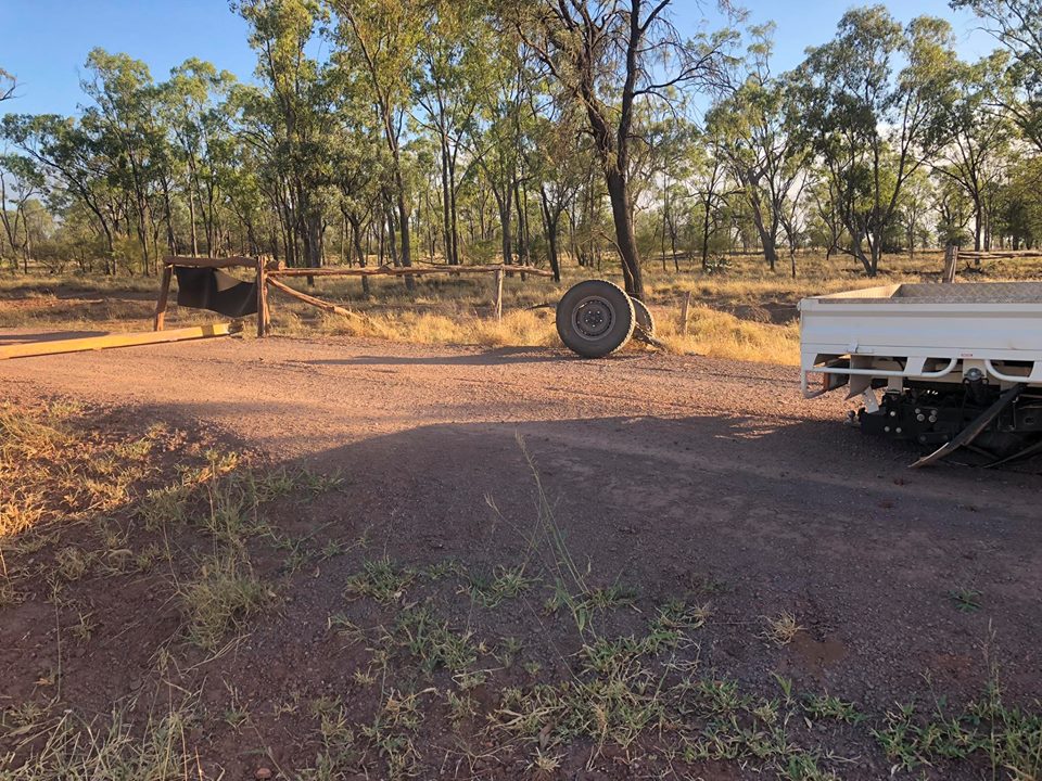 53226222 824534721218143 459391501571457024 n - 