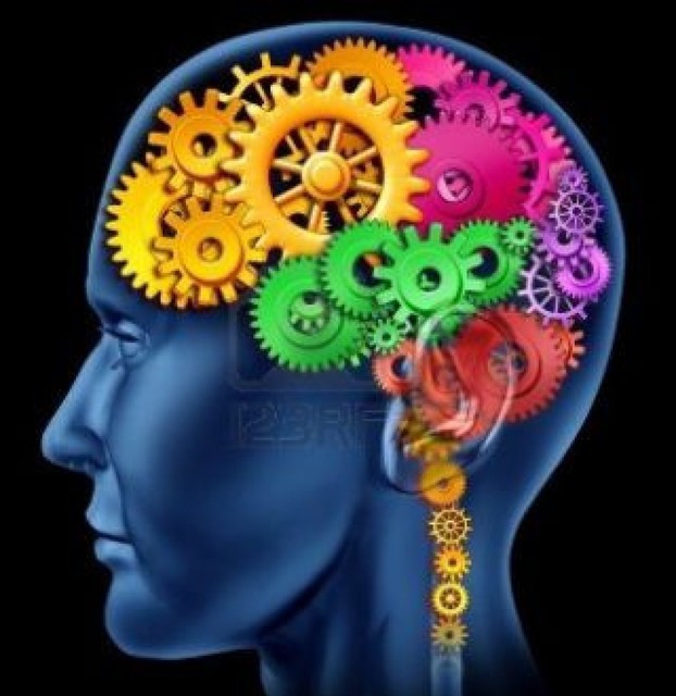 http-www-supplement4health-org-intellirage-brain 1 IntelliRage