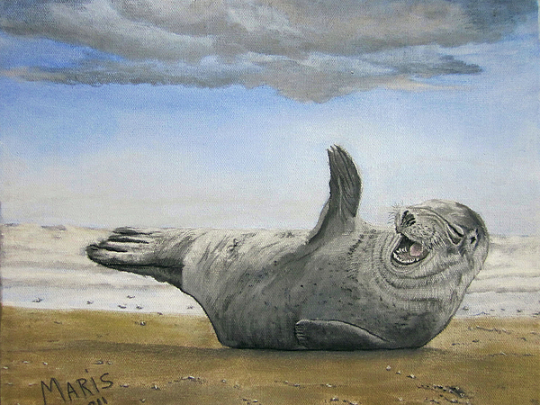 happy seal Mary Fink