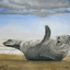 happy seal - Mary Fink