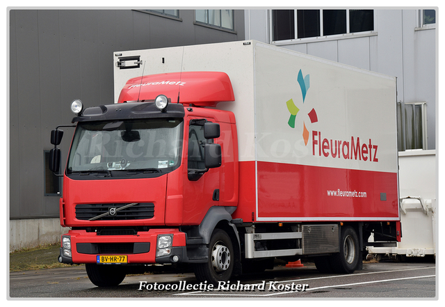 FleuraMetz BV-HR-77-BorderMaker Richard