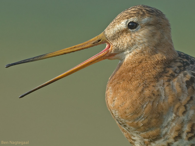 1 https://chaterhouse.org/trim-px-keto/