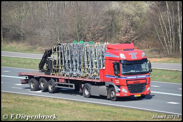 73-BDV-2 DAF CF Timmer Staphorst-BorderMaker Rijdende auto's 2019