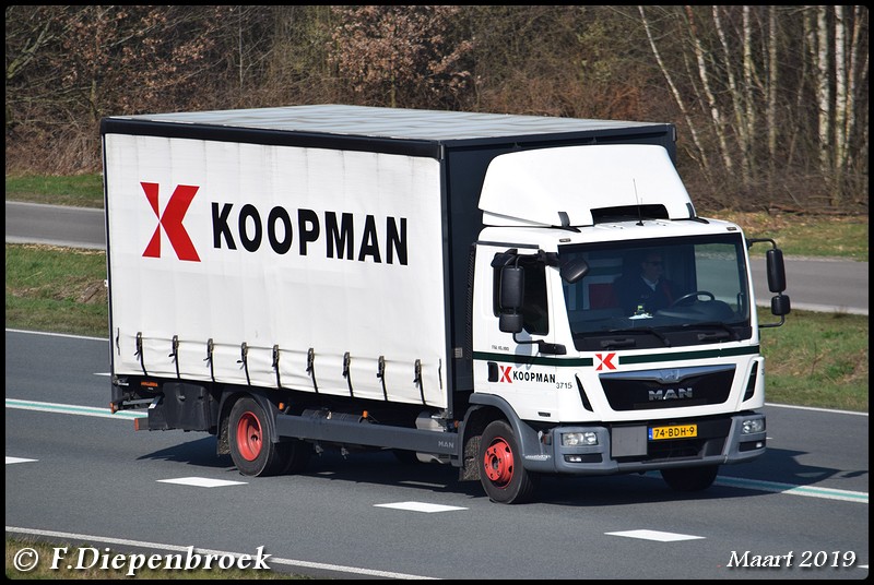 74-BDH-9 MAN TGL Koopman2-BorderMaker - Rijdende auto's 2019
