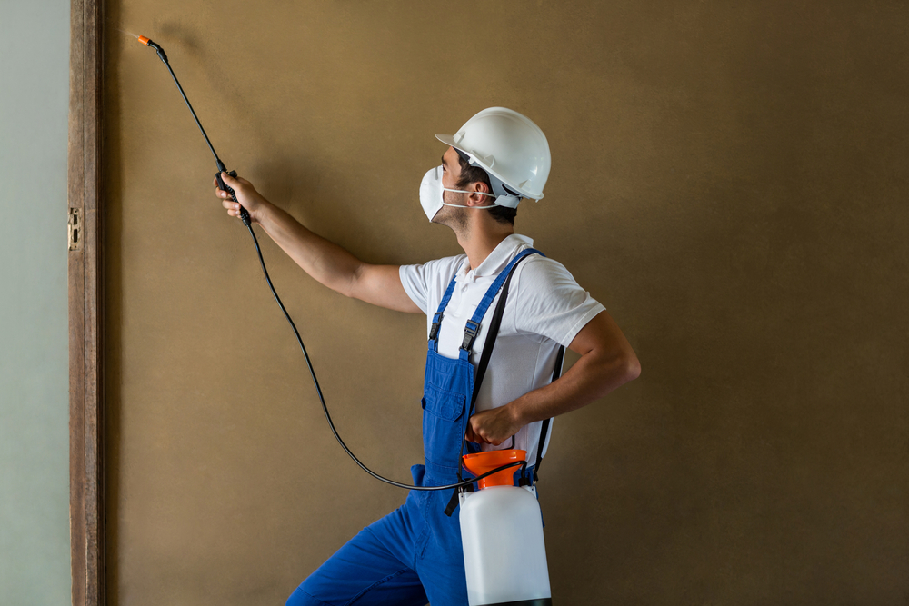 Bug Control Services4 Bug Control Service