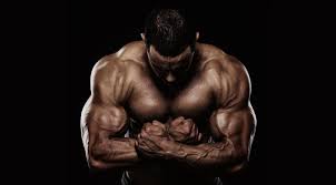 images (2) 7 Shocking Facts About muscle power Told By An Expert