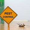 pest control - Best pest control company n...